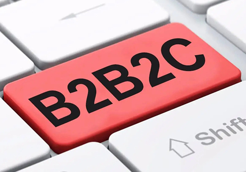 B2B的外貿獨立站和B2C的外貿獨立站有什么區(qū)別